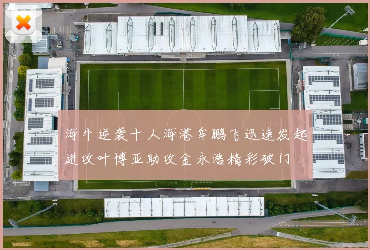 海牛逆袭十人海港牟鹏飞迅速发起进攻叶博亚助攻金永浩精彩破门