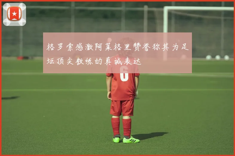 格罗索感激阿莱格里赞誉称其为足坛顶尖教练的真诚表达